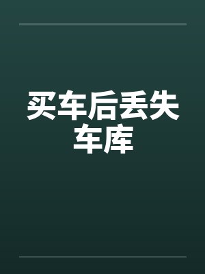 买车后丢失车库by佚名